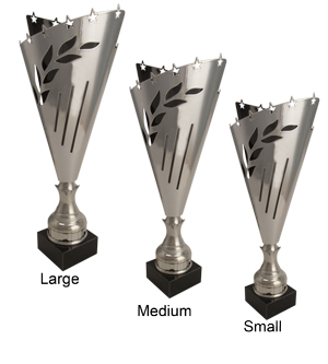 Alternative view of Montrose Trophy Cup