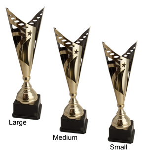 Alternative view of Aberdeen-Gold Trophy