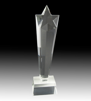 Crystal Star Award - 2019