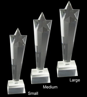 Alternative view of Crystal Star Award - 2019
