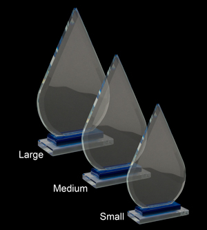Alternative view of Duke Glass Award