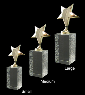 Alternative view of Ariel-Gold Glass Award