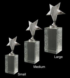Alternative view of Ariel-Silver Glass Award