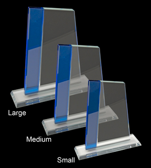 Alternative view of Glass Ultra Award