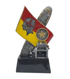 Surf Life Saving - Flag