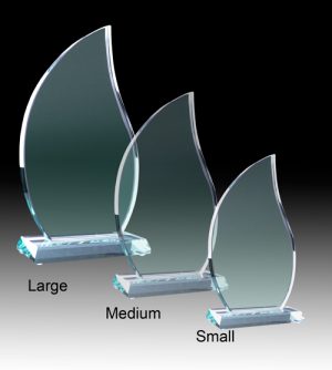 Alternative view of Glass Torch Award