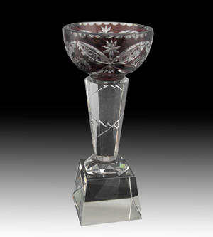 Carina Crystal Bowl Award