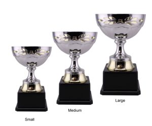 Alternative view of Kapu Bowl Trophy