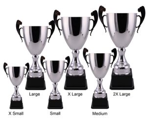 Alternative view of Hermes Cup