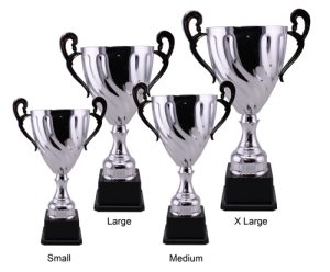 Alternative view of Xander Trophy