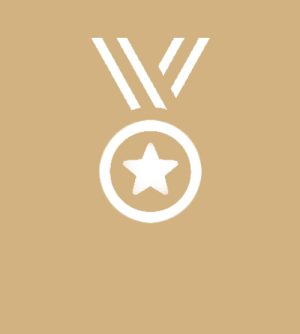 General Victory Trophies