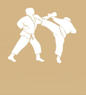 Martial Arts