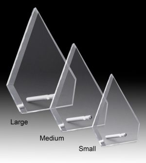 Alternative view of Pinnacle Glass Award