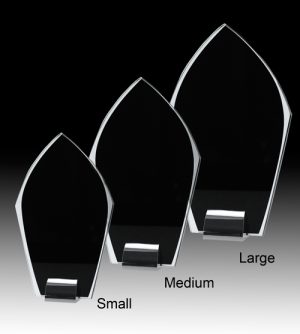 Alternative view of Zenith Glass Award