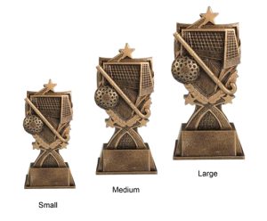 Alternative view of Super Hockey Award