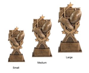 Alternative view of Super Rugby Award