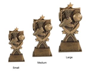 Alternative view of Super Netball Award