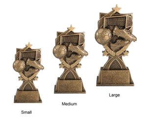 Alternative view of Super Football Award