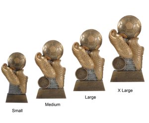 Alternative view of Diego Football Award