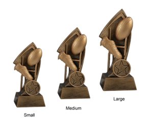 Alternative view of Damien Rugby Award