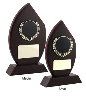 Alternative view of Flame Award - Victory