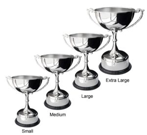 Alternative view of Elegance Trophy Cup