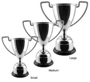 Alternative view of Baxter Trophy Cup