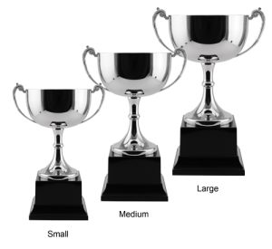 Alternative view of Oakleigh Trophy - Black Base