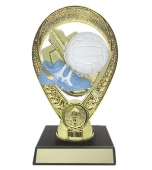 Gold Snap on Holder - Netball