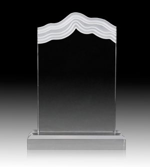 Clear Wave Award