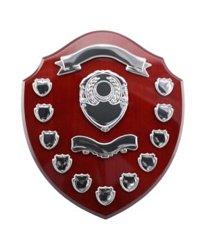 Victor Shield + 11 Mini Shields