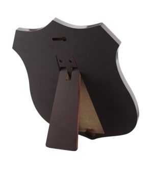 Alternative view of Wallace Shield + 10 Mini Shields