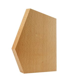 Alternative view of Beatrix Wood Award