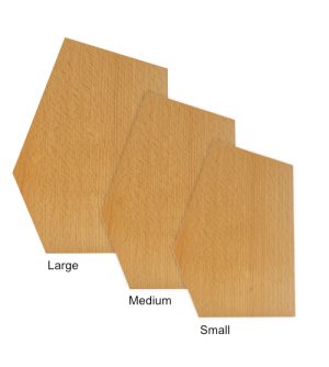 Alternative view of Beatrix Rākau Taonga