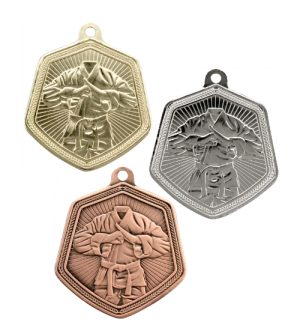 Martial Art Falcon Medals - MS2110