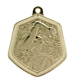 Alternative view of Swimming Falcon Medals - MS2116