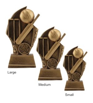 Alternative view of Star Cricket Resin Trophy