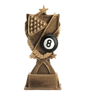 Super Billiards Award