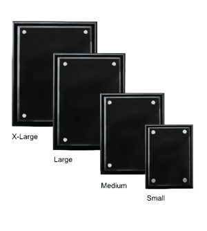 Alternative view of Pinnacle Performance Plaque