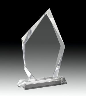 Alternative view of Andes Crystal Award