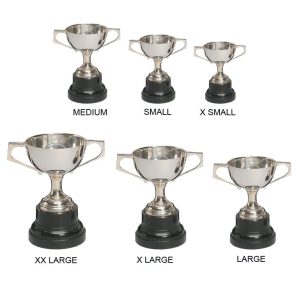 Alternative view of Saturn Trophy Cup