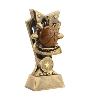 Alternative view of Ultimate Basketball Award