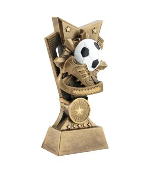 Alternative view of Ultimate Football Award