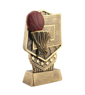 Alternative view of Supreme Basketball Award