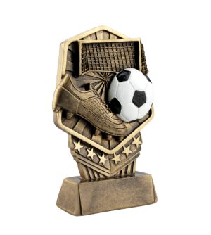 Alternative view of Supreme Football Award