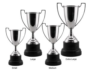 Alternative view of Honour Trophy Cup