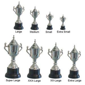 Alternative view of Cardiff Trophy Cup