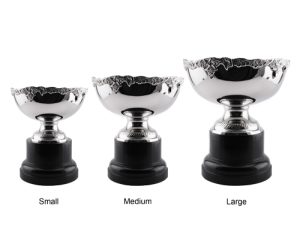 Alternative view of Orion Trophy Bowl