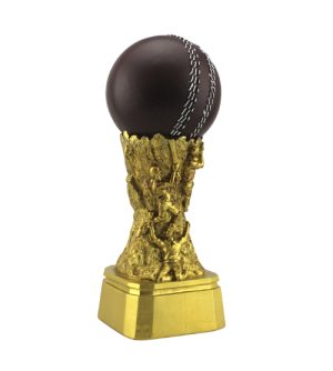 Alternative view of Cricket Pedestal Award