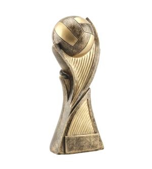 Alternative view of Vanguard Netball Trophy